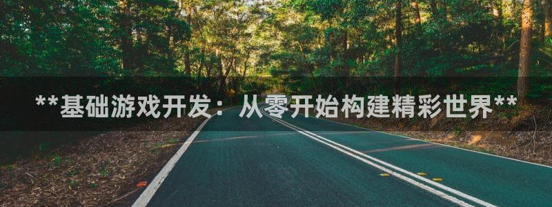 沐鸣代理登陆：**基础游戏开发：从零开始