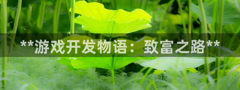 沐鸣科技有限公司地址：**游戏开发物语：