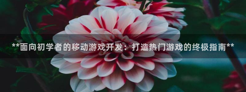 沐鸣平台矩58847：**面向初学者的移