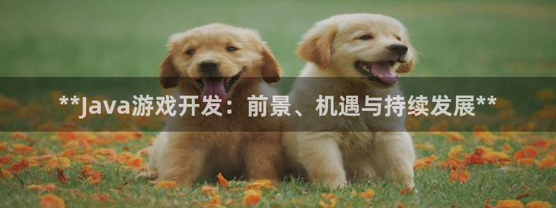 沐鸣在线登录注册：**Java游戏开发：