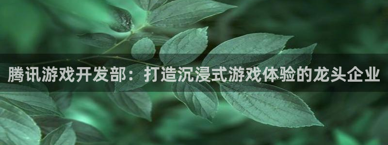 沐鸣娱乐平台怎么样啊：腾讯游戏开发部：打