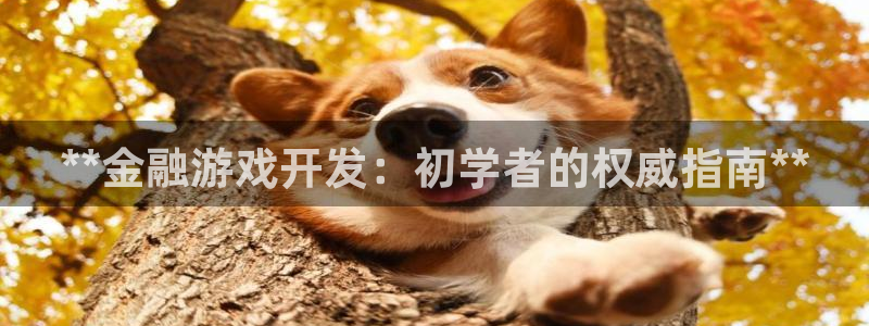 沐鸣娱乐注册平台怎么样：**金融游戏开发