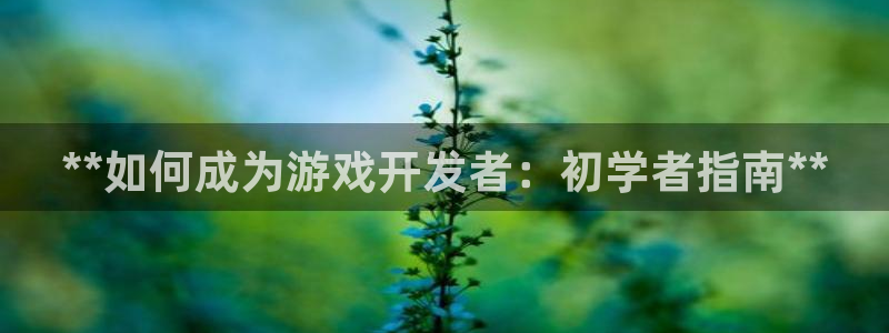 沐鸣网站：**如何成为游戏开发者：初学者