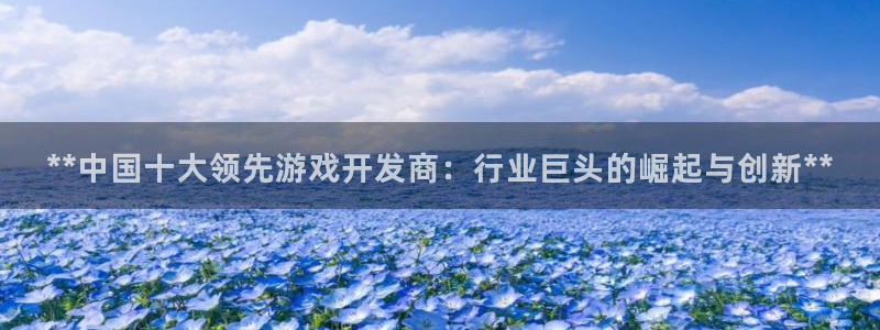 沐鸣平台登陆线路：**中国十大领先游戏开