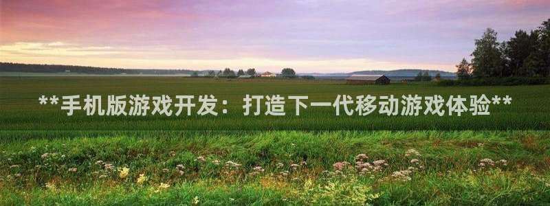 沐鸣文化传媒有限公司：**手机版游戏开发