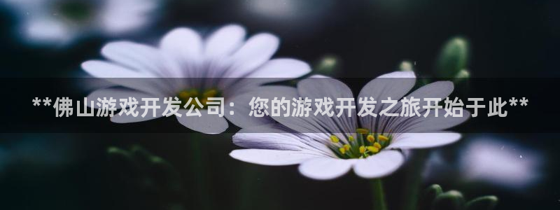 沐鸣科技游戏：**佛山游戏开发公司：您的