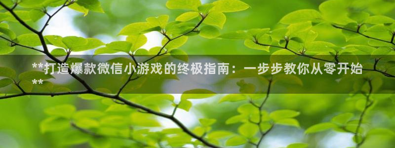 沐鸣娱乐平台登录入口：**打造爆款微信小