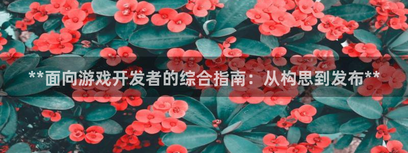沐鸣注册注册：**面向游戏开发者的综合指