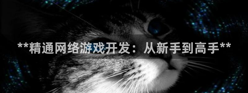 沐鸣3注册：**精通网络游戏开发：从新手