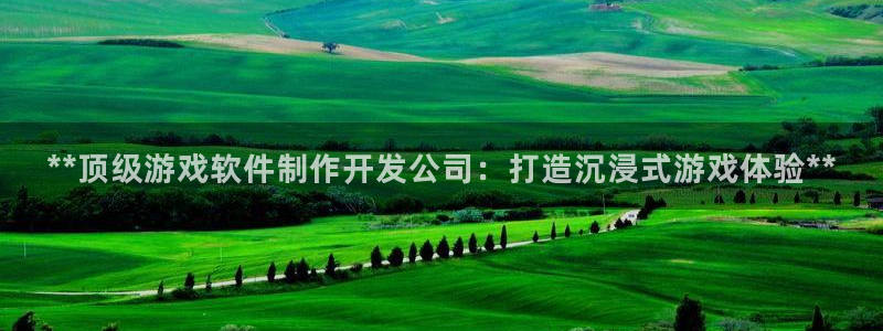 沐鸣开户计划：**顶级游戏软件制作开发公