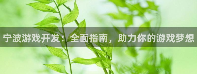 沐鸣娱乐官网入口：宁波游戏开发：全面指南
