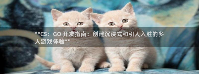 沐鸣科技游戏怎么样：**CS：GO 开发