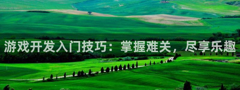 沐鸣1平台注册：游戏开发入门技巧：掌握难