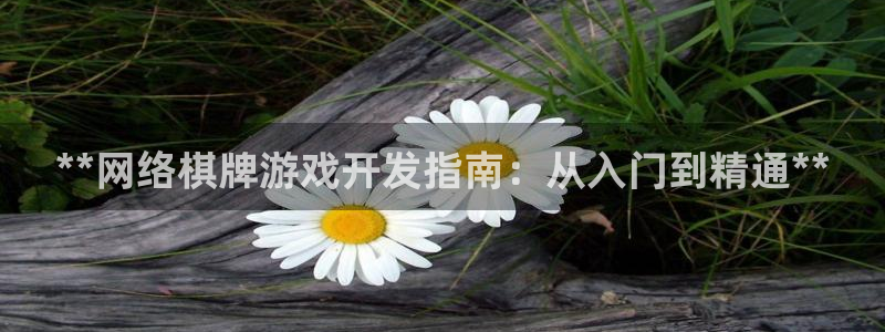 沐鸣平台app下载：**网络棋牌游戏开发