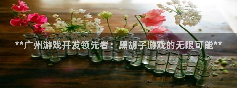 沐鸣娱乐平台登录：**广州游戏开发领先者