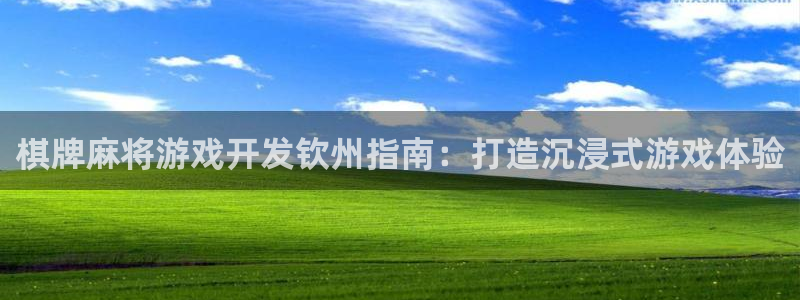 沐鸣科技业务怎么样：棋牌麻将游戏开发钦州