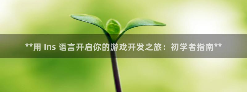 沐鸣科技有限公司招聘：**用 Ins 语