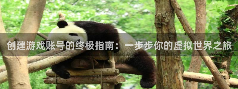 沐鸣娱乐平台怎么样啊：创建游戏账号的终极