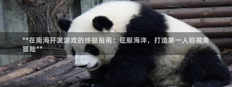 沐鸣娱乐注册登录平台：**在南海开发游戏