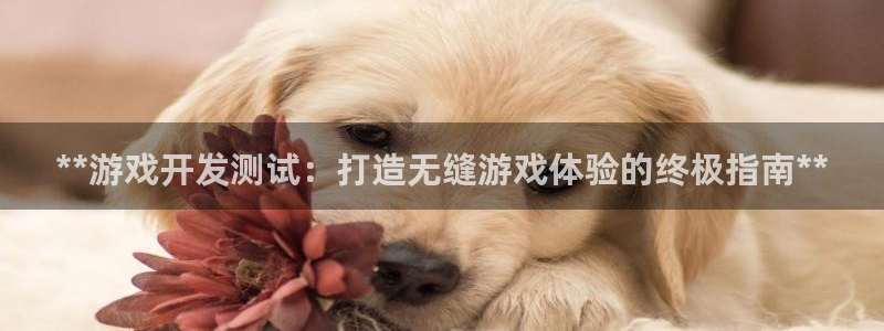沐鸣娱乐账号怎么注册：**游戏开发测试：