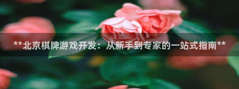 沐鸣1在线登陆：**北京棋牌游戏开发：从