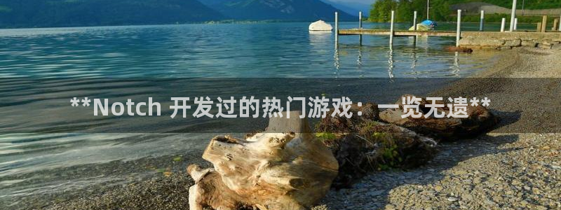 沐鸣注册问一问：**Notch 开发过的