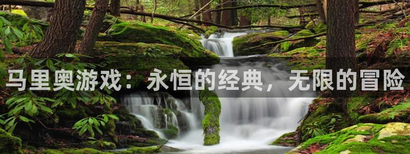 沐鸣娱乐在线登录：马里奥游戏：永恒的经典