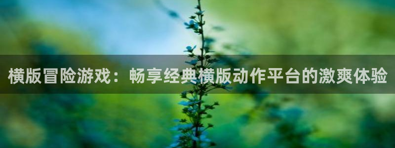 沐鸣平台登陆线路：横版冒险游戏：畅享经典