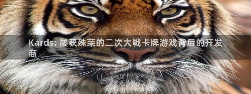 沐鸣注册地址：Kards: 屡获殊荣的二