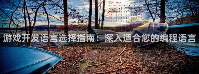 沐鸣娱乐官方网站下载：游戏开发语言选择指
