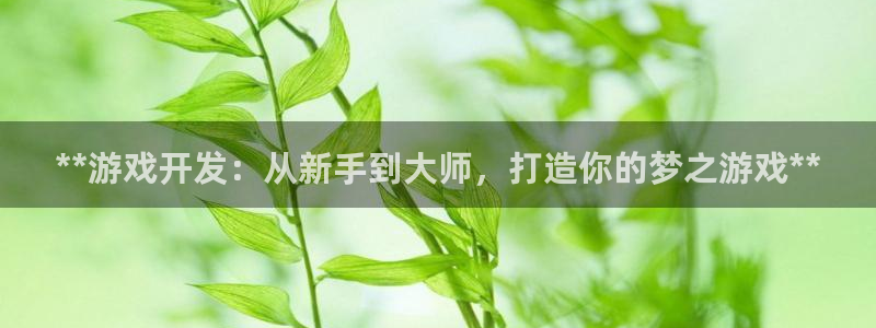 沐鸣平台负责人怎么样：**游戏开发：从新