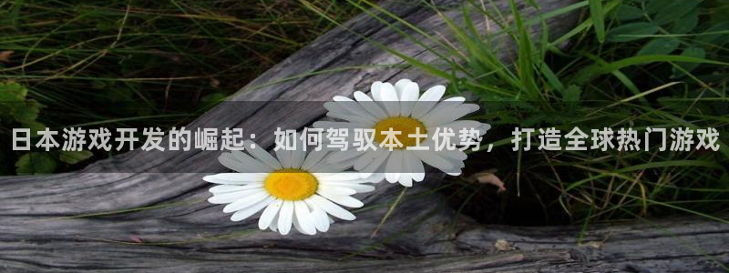手机版沐鸣客户端下载：日本游戏开发的崛起