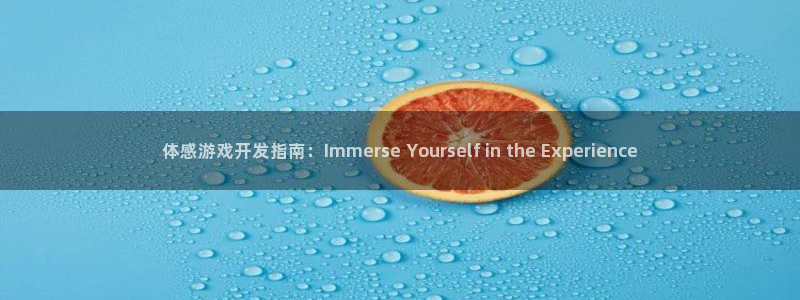 沐鸣4招商：体感游戏开发指南：Immer