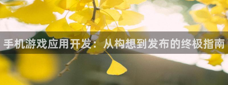 沐鸣科技有限公司怎么样：手机游戏应用开发