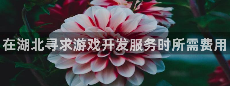 沐鸣娱乐代理是谁：在湖北寻求游戏开发服务