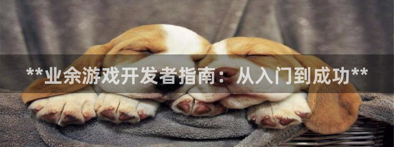 沐鸣注册网站是什么：**业余游戏开发者指