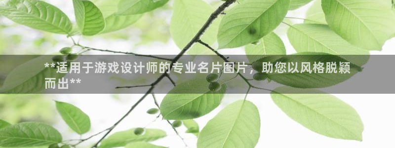沐鸣3注册：**适用于游戏设计师的专业名