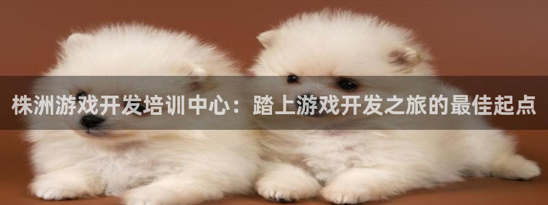 沐鸣平台招商怎么样：株洲游戏开发培训中心