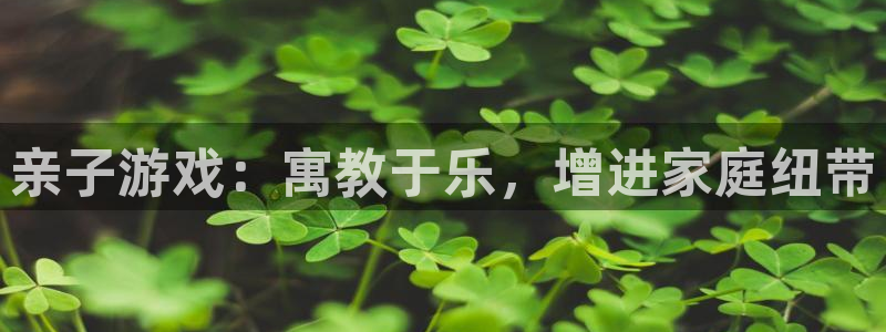 沐鸣娱乐平台怎么样：亲子游戏：寓教于乐，