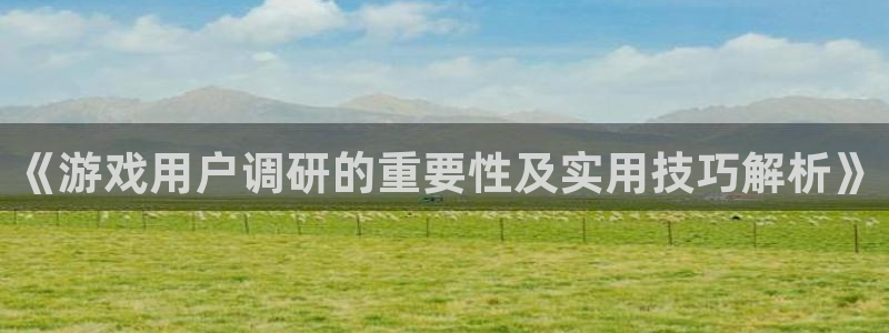 沐鸣平台主管：《游戏用户调研的重要性及实