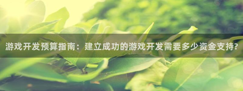 沐鸣1平台登录线路：游戏开发预算指南：建