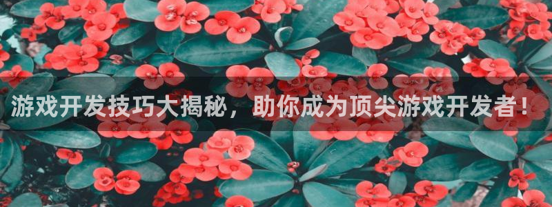 手机版沐鸣客户端下载：游戏开发技巧大揭秘