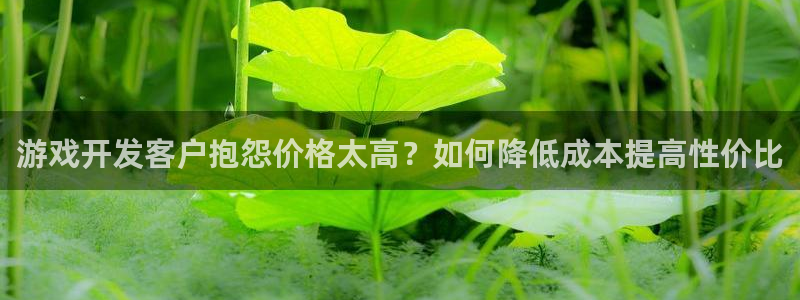 沐鸣1登录：游戏开发客户抱怨价格太高？如