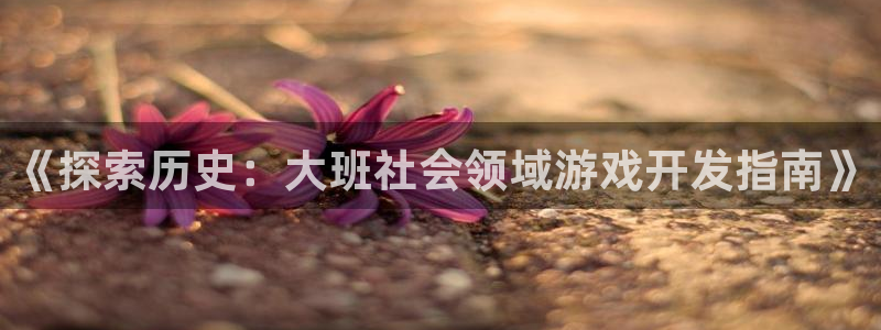 沐鸣平台招商电话号码：《探索历史：大班社