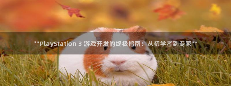 沐鸣娱乐官方网站首页：**PlaySta