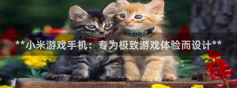 沐鸣平台代理注册：**小米游戏手机：专为