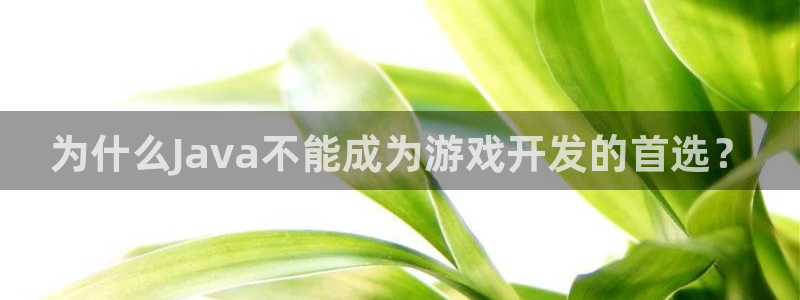 沐鸣科技怎么样知乎推荐：为什么Java不