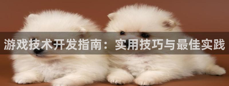 沐鸣娱乐注册平台怎么样：游戏技术开发指南