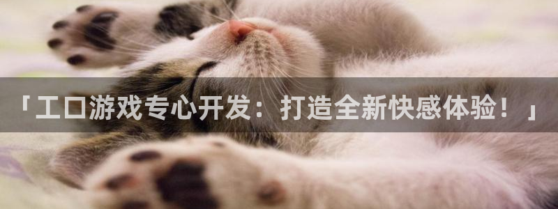 沐鸣平台负责人是谁：「工口游戏专心开发：