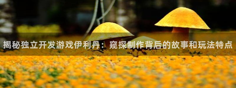 沐鸣线路测试：揭秘独立开发游戏伊利丹：窥